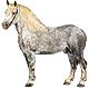 Avatars to free download: Animals: Horses