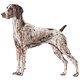 Avatars to free download: Animals: Dog 2