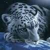 Avatars to free download: Animals: Tigers