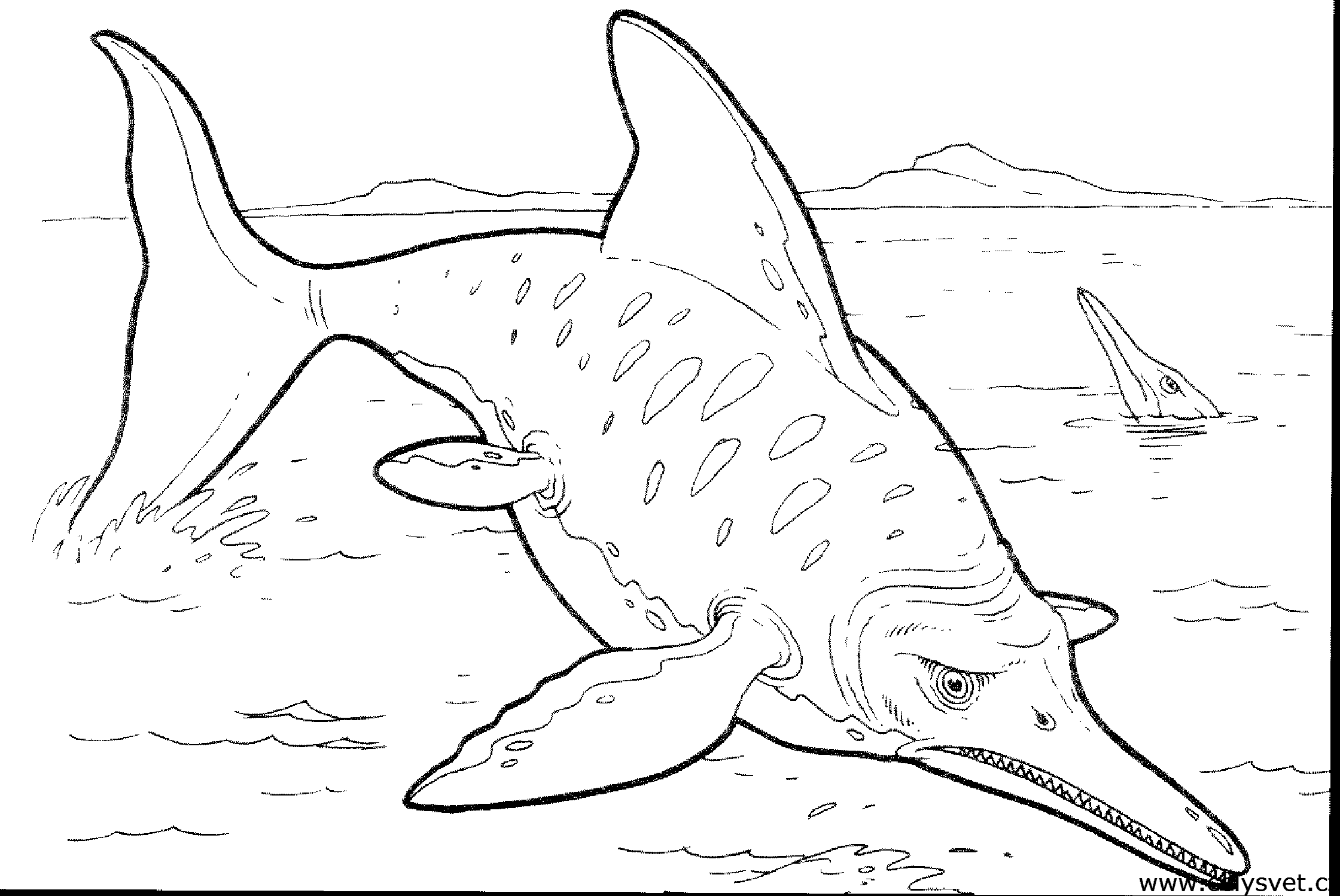 Free coloring page to print