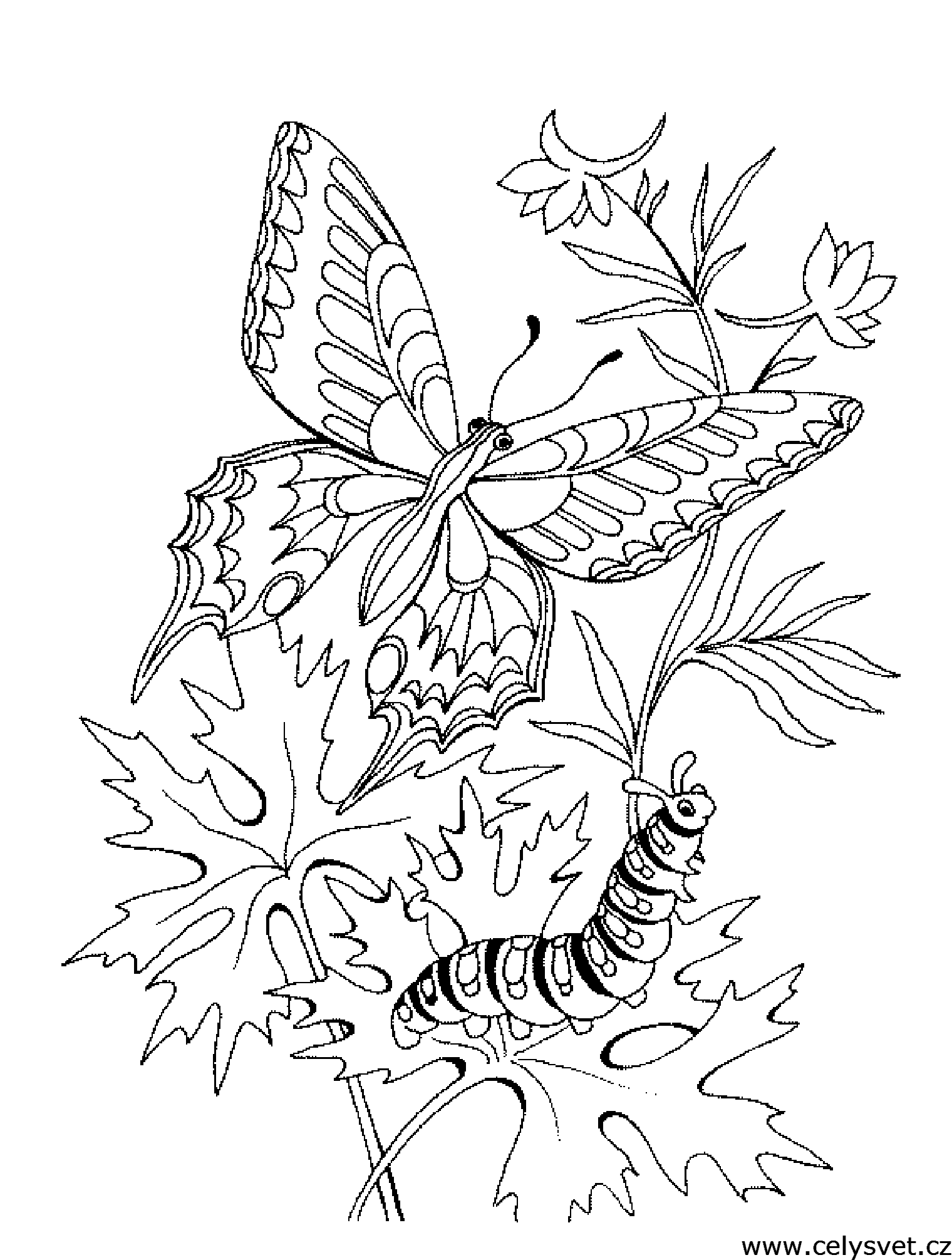 Free coloring page to print