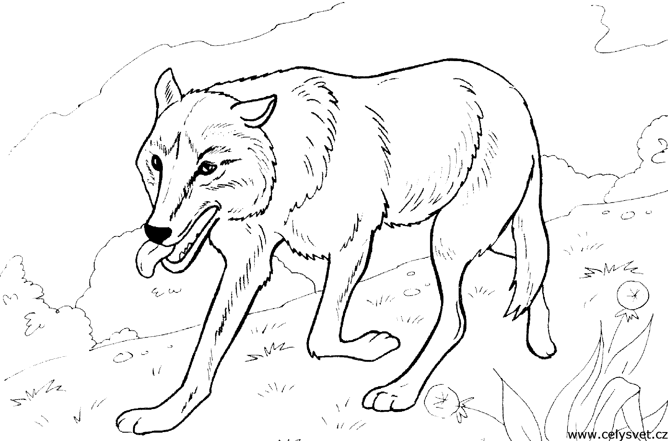 Free coloring page to print