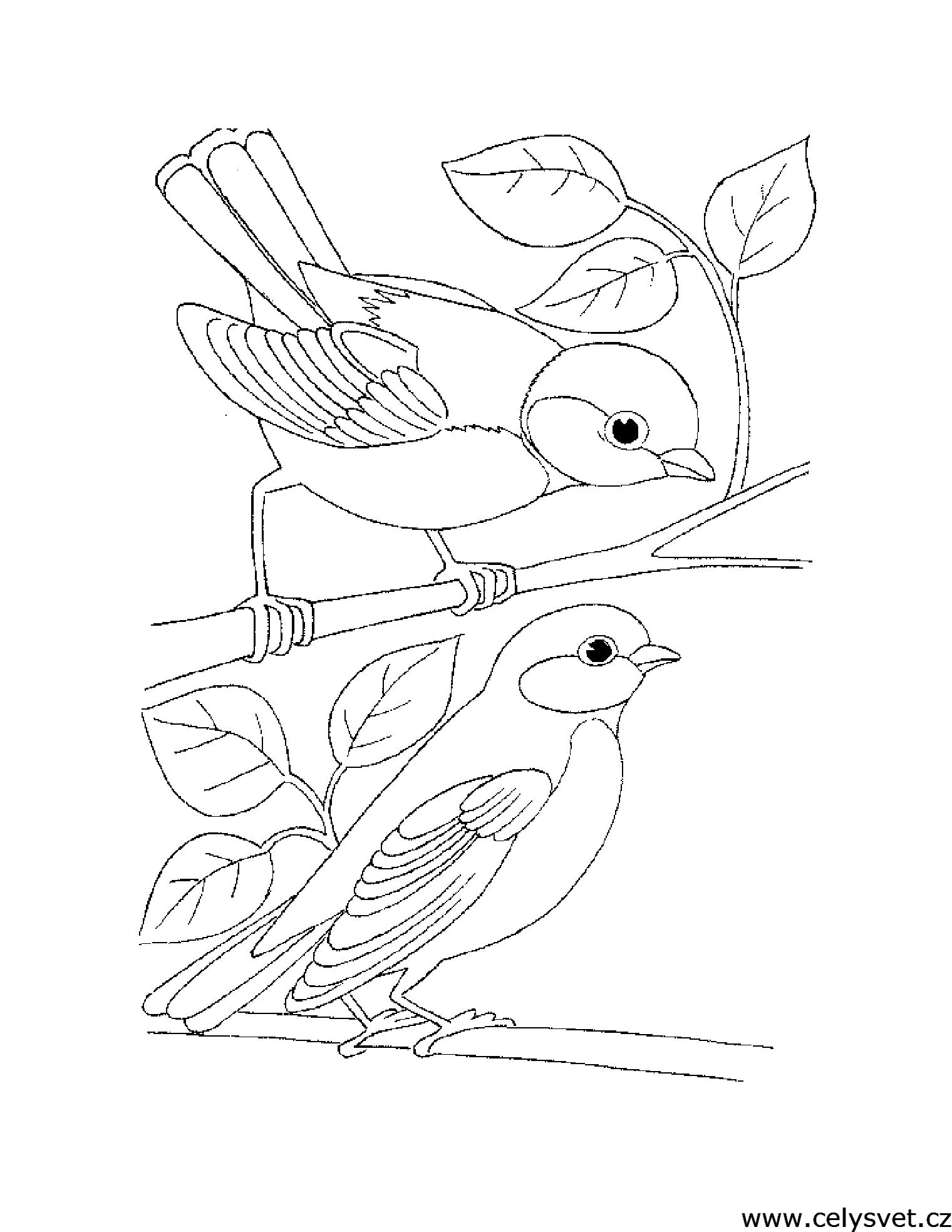 Free coloring page to print