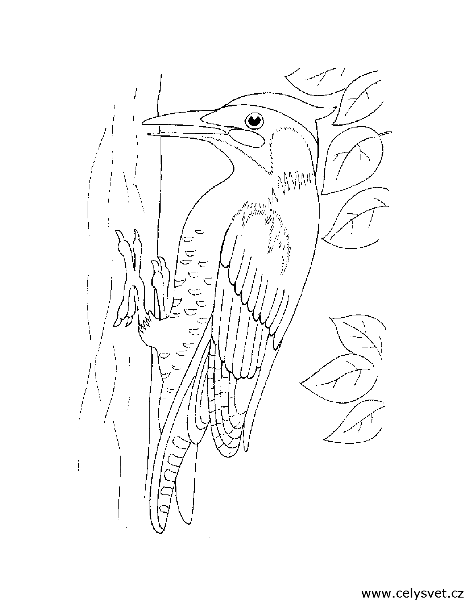 Free coloring page to print