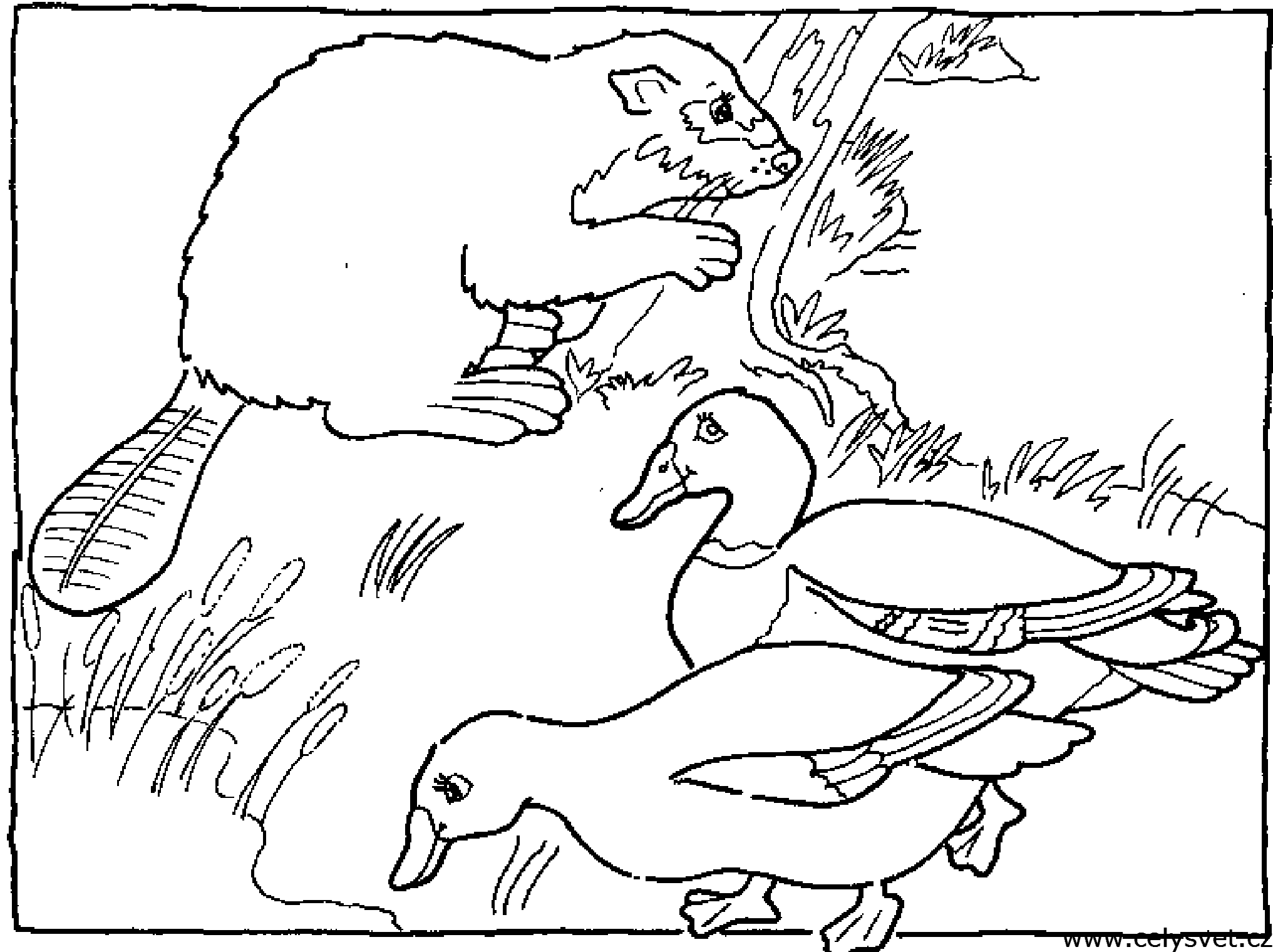 Free coloring page to print