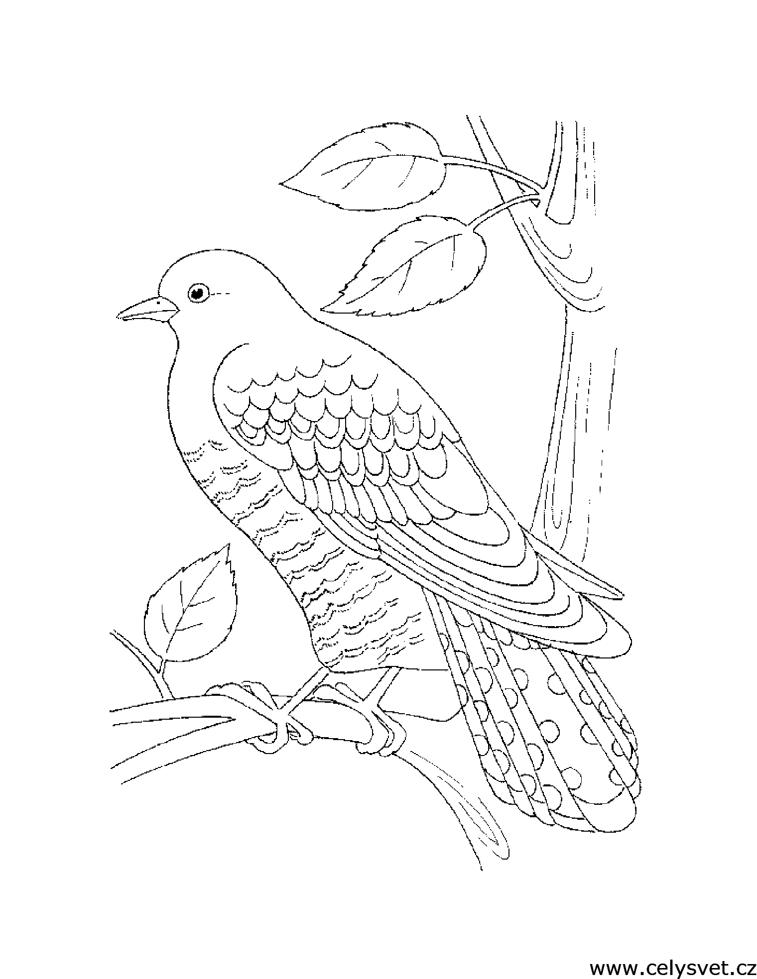 Free coloring page to print