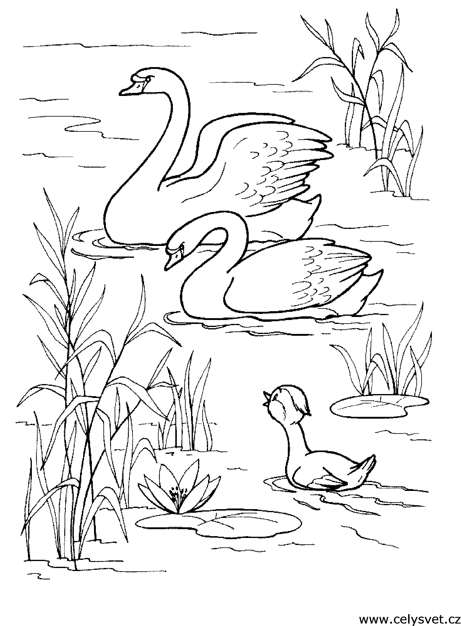 Free coloring page to print