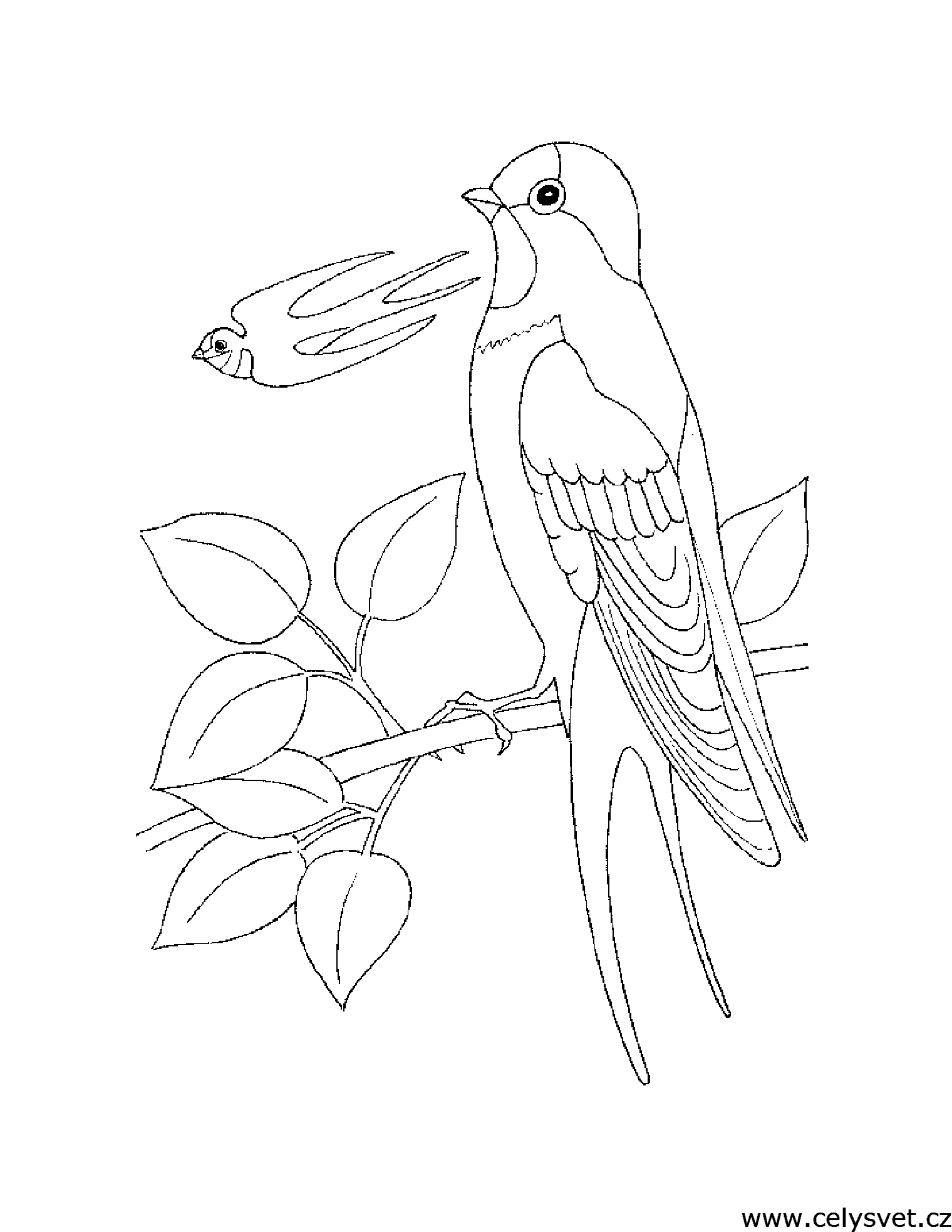 Free coloring page to print