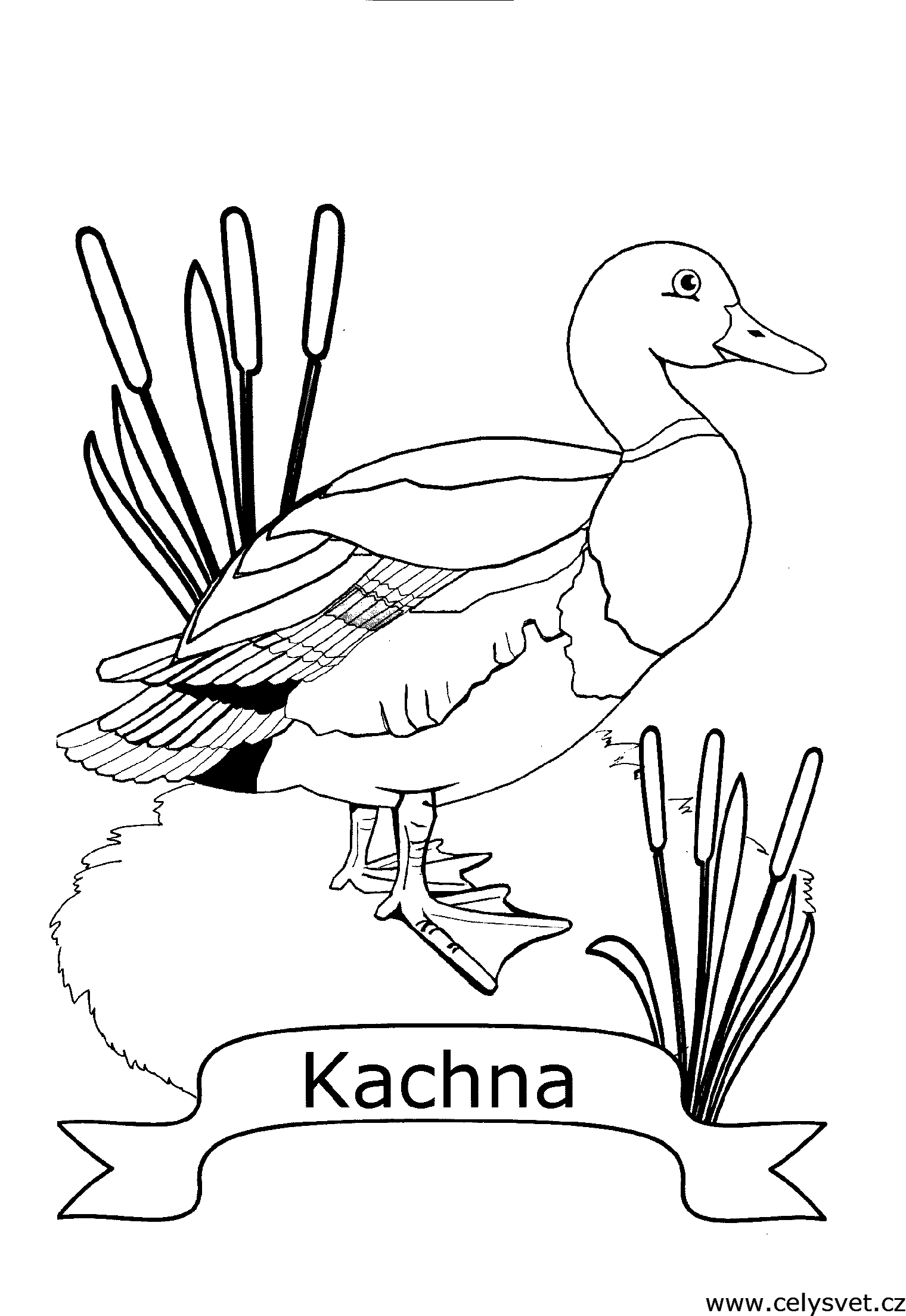 Free coloring page to print