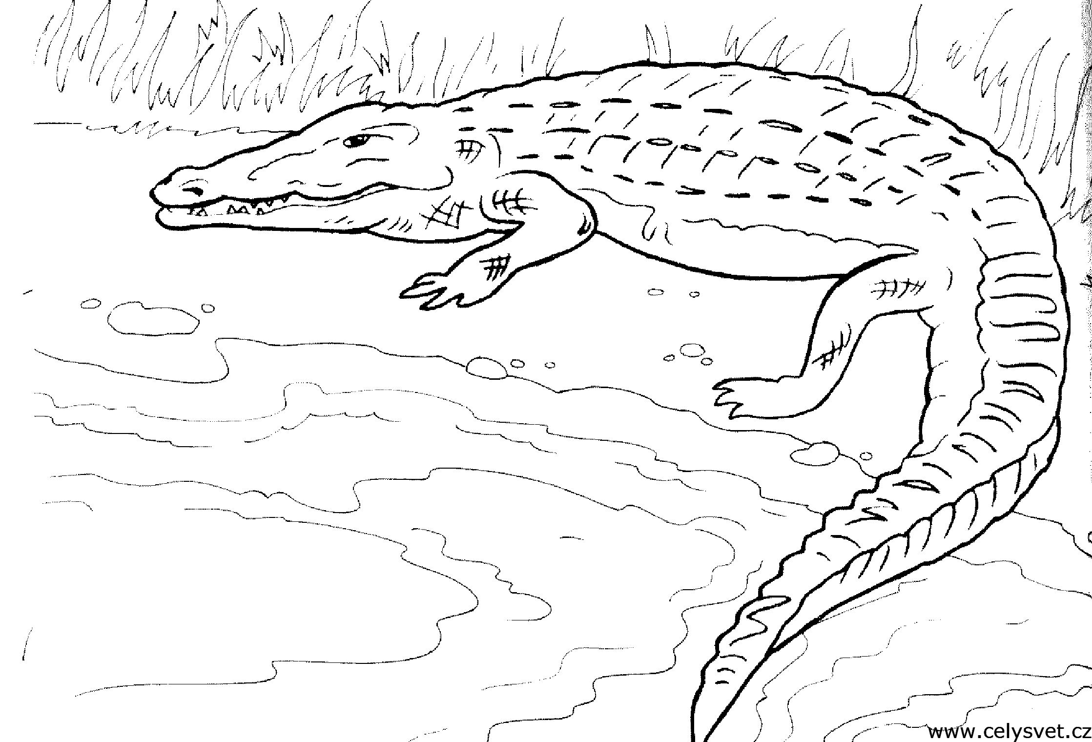 Free coloring page to print