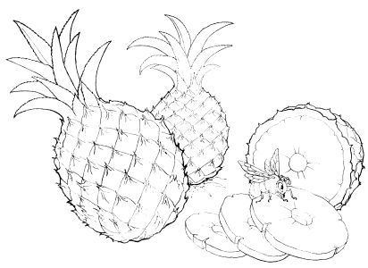 Free Coloring pages