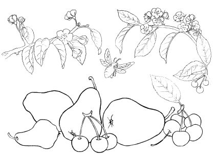 coloring pages for girls. coloring pages for girls to