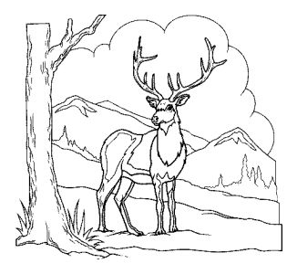 Free Coloring pages