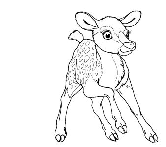 Coloring Sheets  Girls on Free Coloring Pages For Boys And Girls  Animals  Bambi