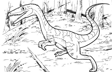 All Free Coloring pages (833) : Animals: Dinosaurs, (30 pages)