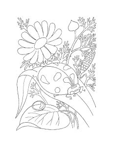 Free Coloring pages