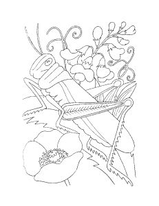 Free Coloring pages