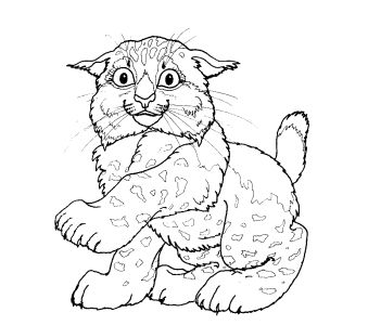 Free Coloring pages