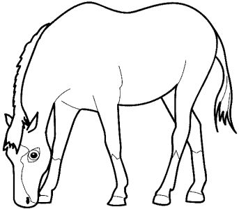 Coloring Pages  Girls on Free Coloring Pages For Boys And Girls  Animals  Horses  Zebras