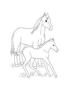 Free Coloring pages