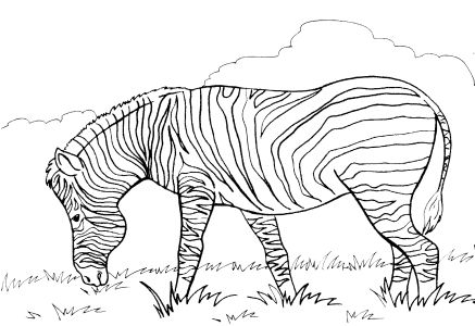 Free Coloring pages