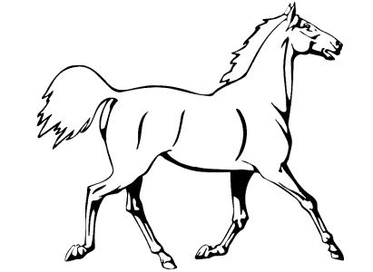 Coloring Pages  Girls on Free Coloring Pages For Boys And Girls  Animals  Horses  Zebras