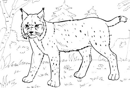 Free Coloring pages