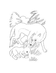 Free Coloring pages