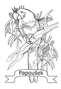 Free Coloring pages