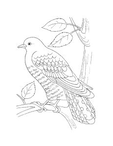 Free Coloring pages