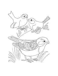 Free Coloring pages