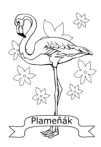 Free Coloring pages