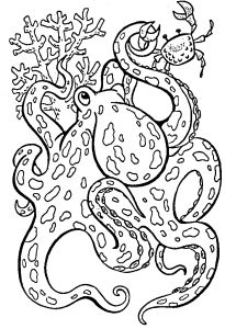 Free Coloring pages