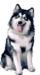 More smileys for free download