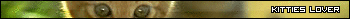 Userbars to free download: Aimals: dog, cats etc