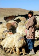 Photos: Afghanistan (pictures, images)