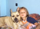 Photos: American staffordshire terrier (Dog standard) (pictures, images)
