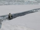 Photo: Antarctica