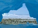 Photos: Antarctica (pictures, images)