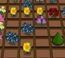 Photo: Bloomin Gardens