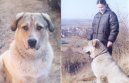 Photos: Central asia shepherd dog (Dog standard) (pictures, images)