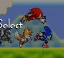 Photo: Final Fantasy Sonic