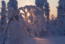 Photos: Finland (pictures, images)