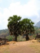 Photos: Laos (pictures, images)