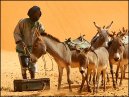 Photos: Mauritania (pictures, images)