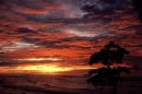 Photos: Micronesia, Federated States of (pictures, images)