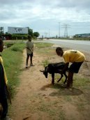 Photos: Mozambique (pictures, images)