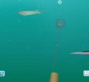 Photo: Shooting fish