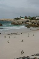 Photos: South Africa (pictures, images)