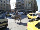 Photos: Syria (pictures, images)